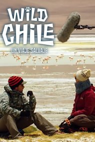 Дика природа Чилі