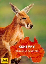 Кенгуру, таємне життя