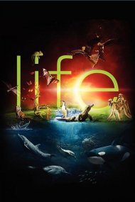 Життя