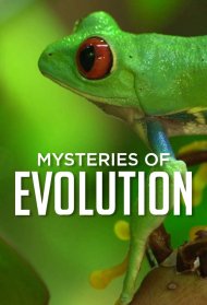 Таємниці еволюції