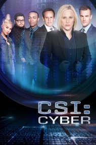 CSI: Кіберпростір