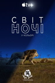Кольори нічної планети / Світ ночі у кольорі