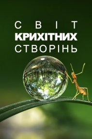 Світ крихітних створінь / Маленький світ