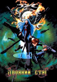 Зоряний стяг