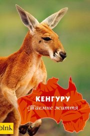 Кенгуру, таємне життя