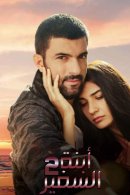 Дочка посла